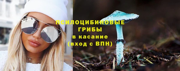 соль ск Алзамай