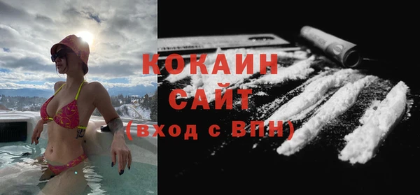 соль ск Алзамай