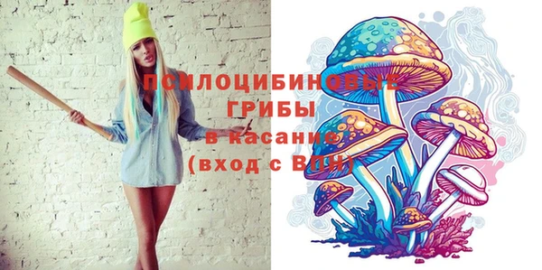 соль ск Алзамай