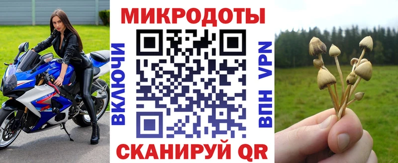 Псилоцибиновые грибы GOLDEN TEACHER  закладка  нарко площадка состав  Новоалександровск 